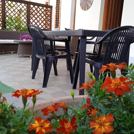 Guest House Oleandro Santa Maria Navarrese Exterior foto